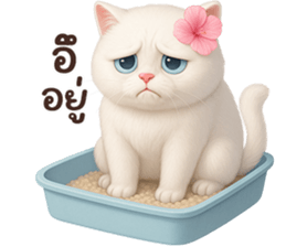 ลายที่ 75