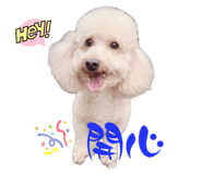778809765