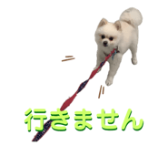 778863114