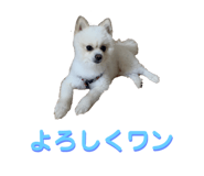 778863115