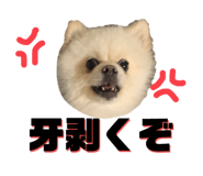 778863119
