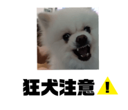 778863120