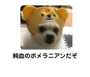 778863122
