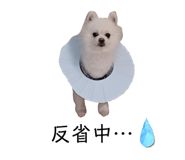 778863123
