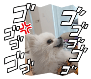 778863131