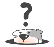 778882776