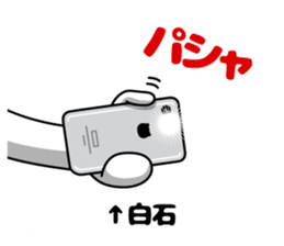77889295