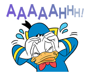 ลายที่ 13