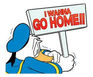 ลายที่ 23