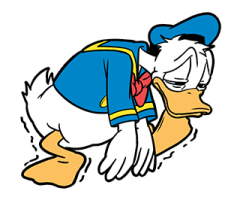 ลายที่ 29