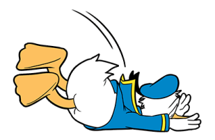 ลายที่ 31