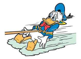 ลายที่ 45