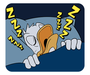 ลายที่ 79