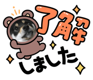 779022690