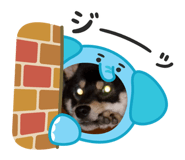 779022695