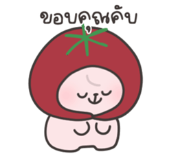 ลายที่ 17