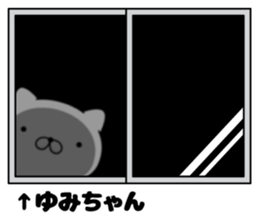 77912651