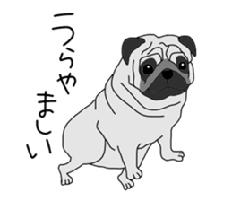 7791278