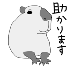 7791303