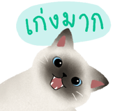 779192463