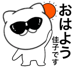 77930254
