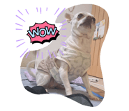 779334666
