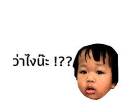 77941590