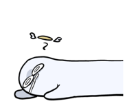 779528275