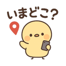 779546764