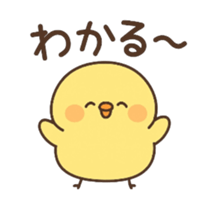 779546765