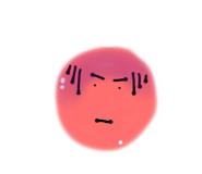 779556258