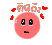 779556259