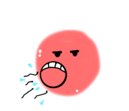 779556260