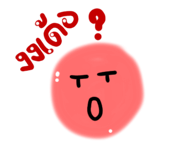 779556264