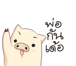 7796036