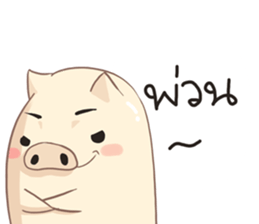 7796037