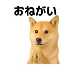 779839937