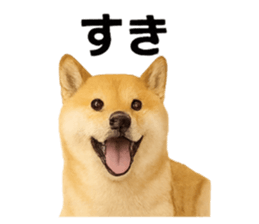 779839938