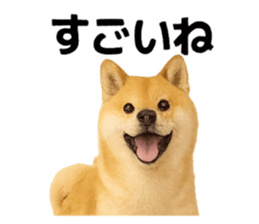 779839940