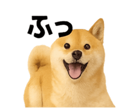 779839942