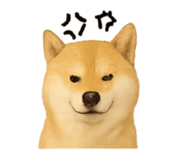 779839963