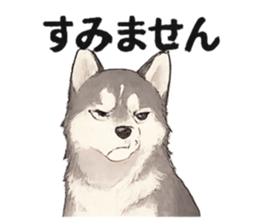 780106804