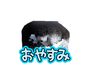 780284165
