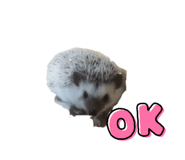780284167