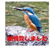 780577137
