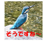 780577142