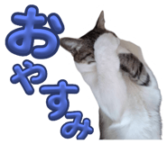 780597844