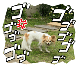 780650150