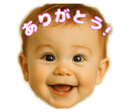 780678338