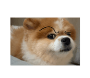 780722107